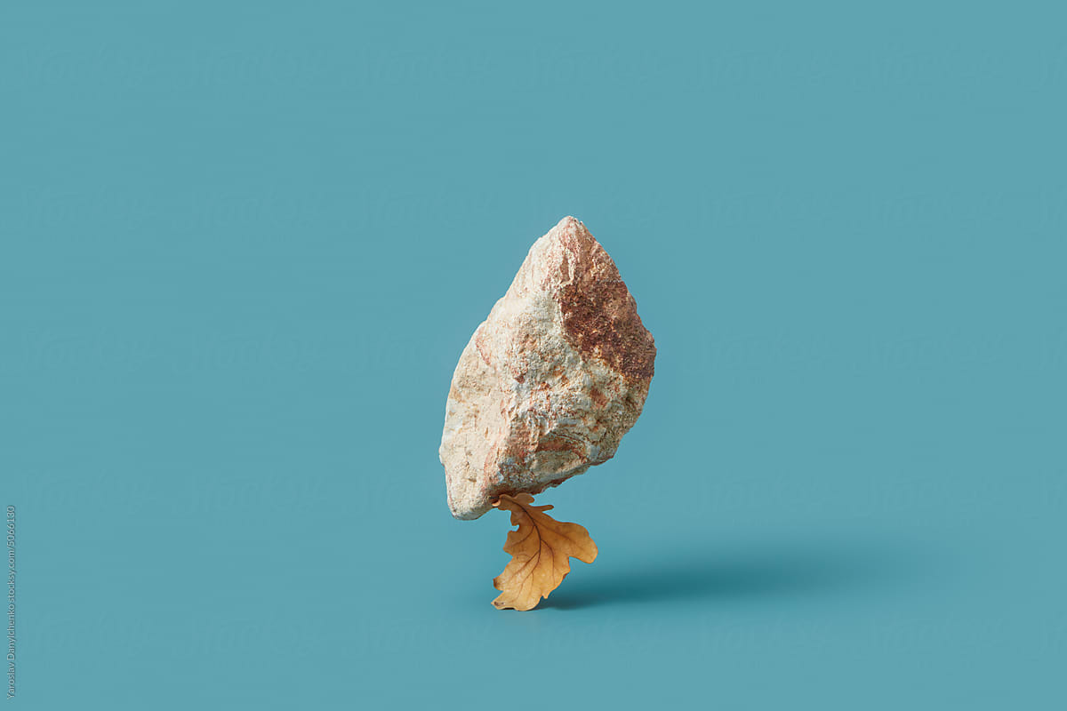Organic composition of stone and dry autumn leaf.