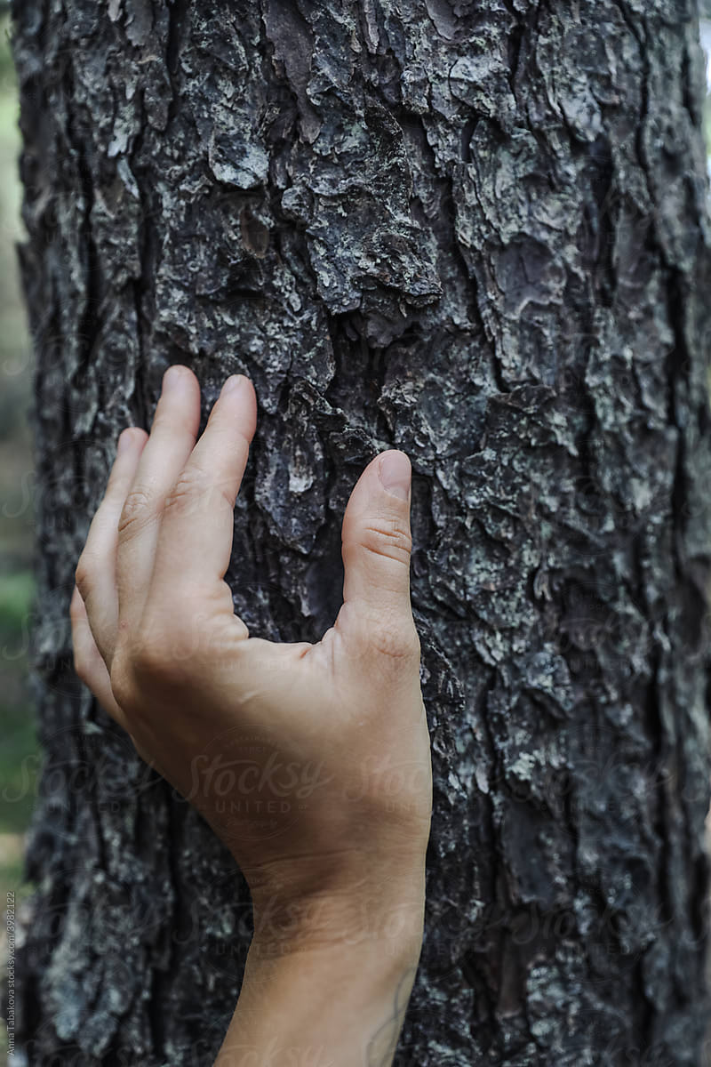 Hand touching tree trunk