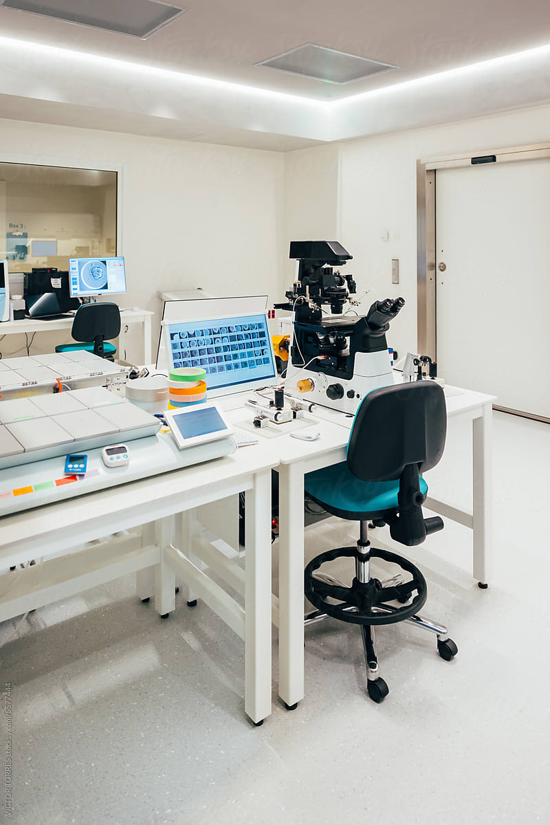 Modern workplace in IVF clinic