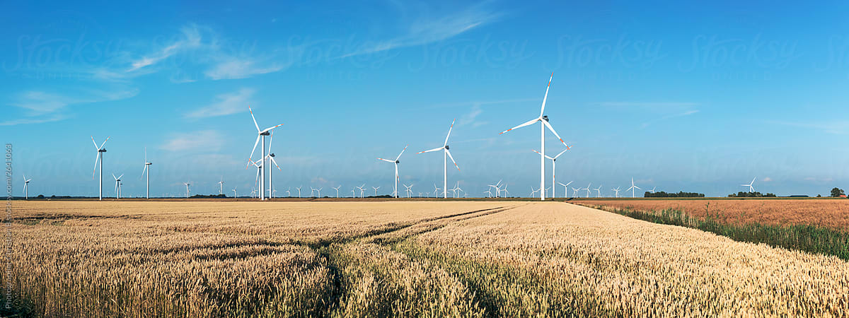 Windpower fields forever