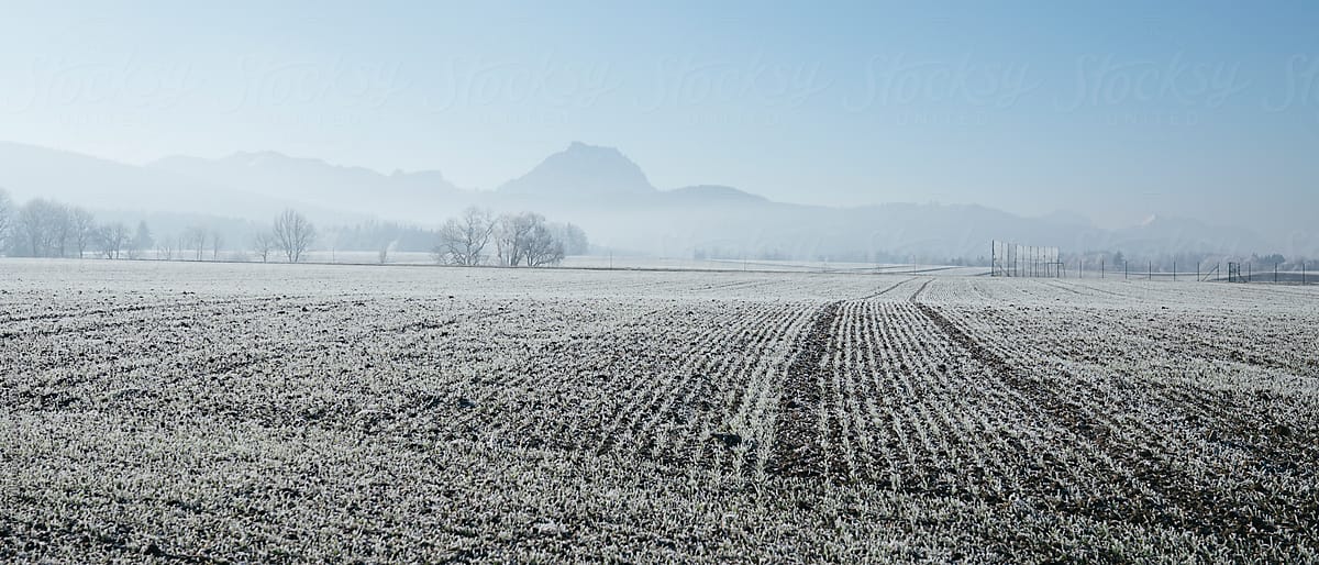 Frozen fields in winter