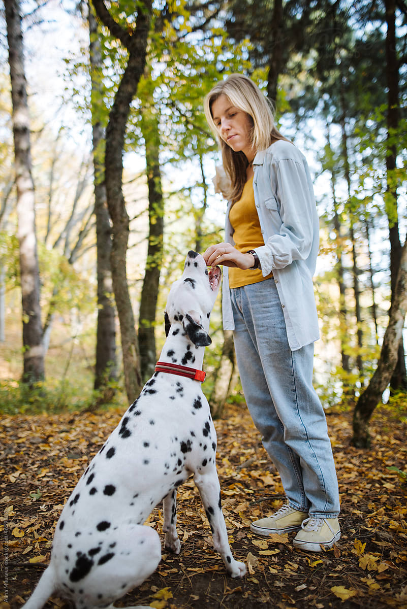 Young woman feeding her dog during walk in autumn park