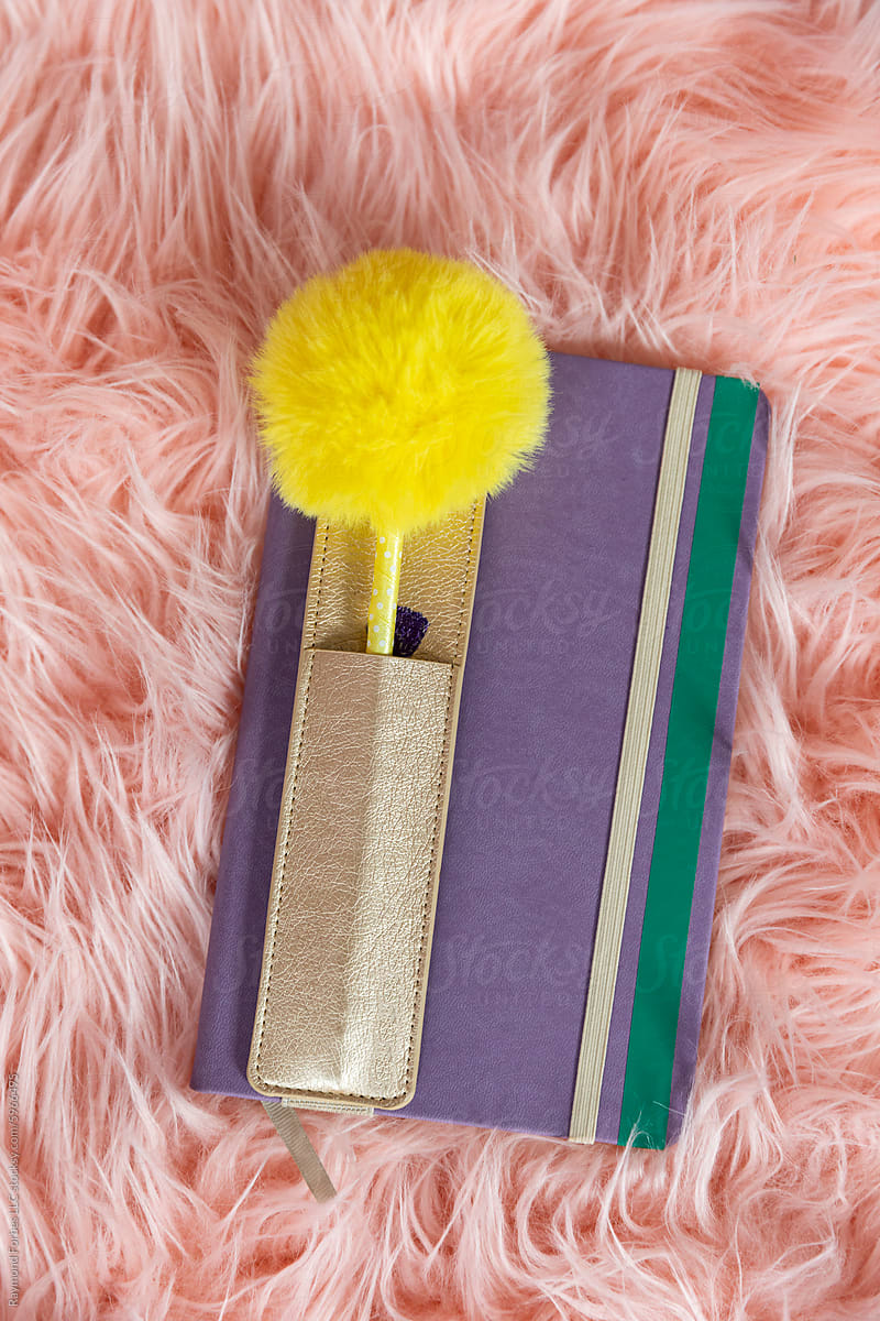 Journal diary book still life on pink fuzzy rug