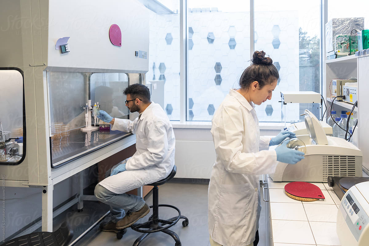 Scientists Working In Bioelectrics Lab