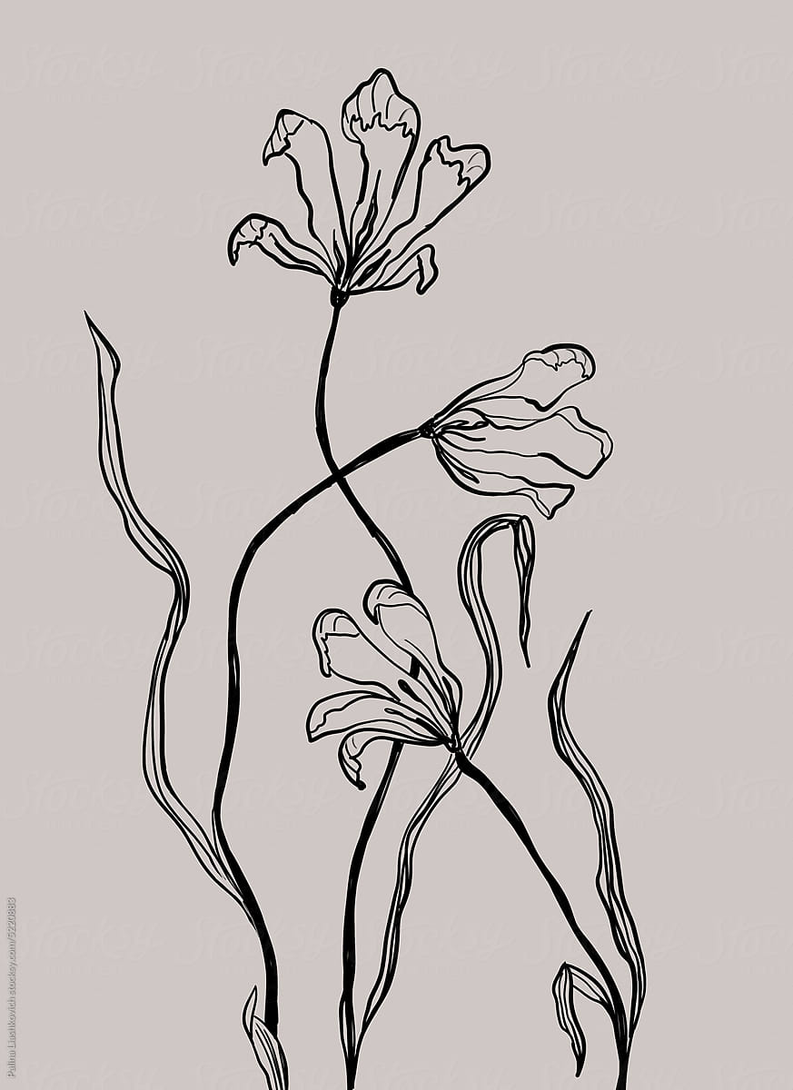 Hand drawing tulips on neutral background.