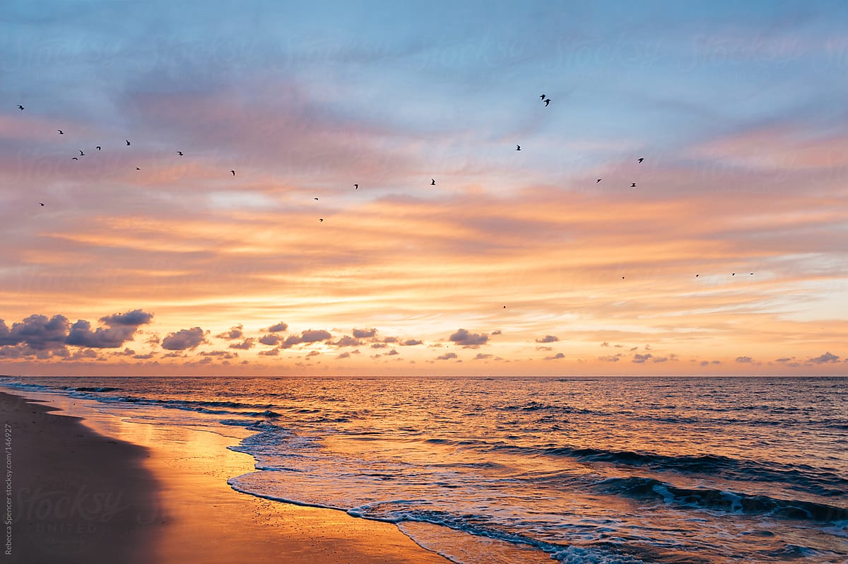 Birds flying across colorful sunset and beach