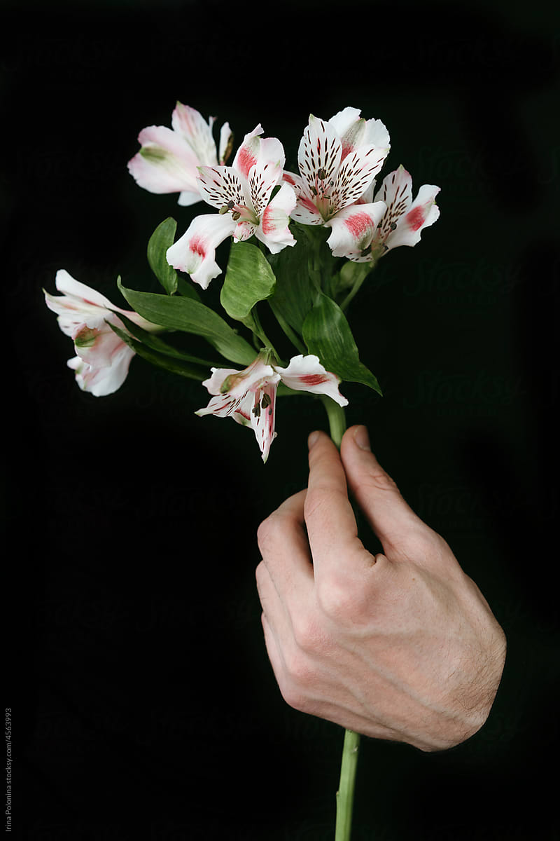 Hand with white flowers.