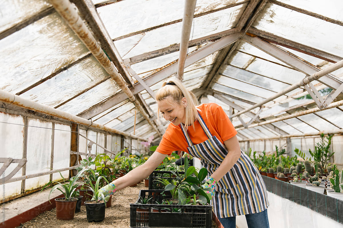 Happy woman organizing plants in greenhouse