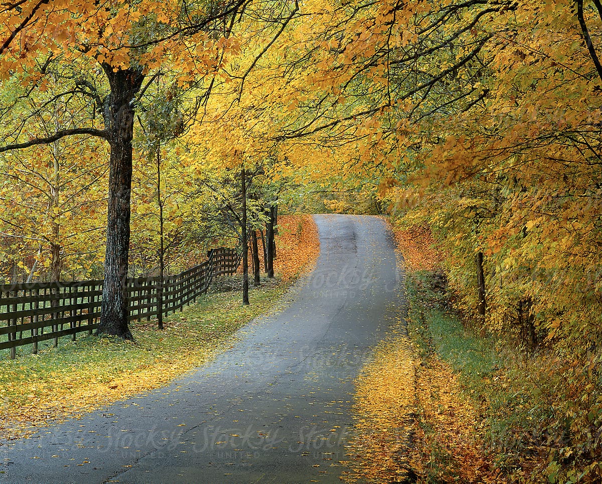 country backroad back road highway lane thru rural Indiana with autumn foliage colors