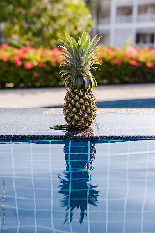 Pineapple and his reflection in the swimming pool