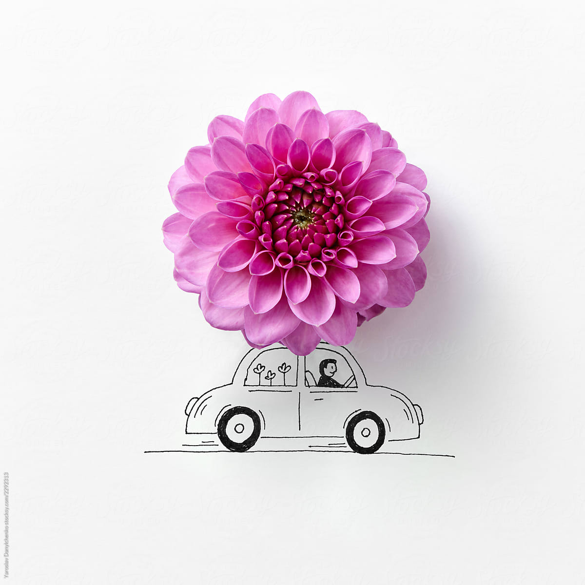 Drawing auto decorated with colorful pink flower on gray backgro