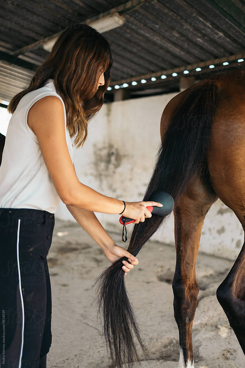 Woman brushing her horse in a stable