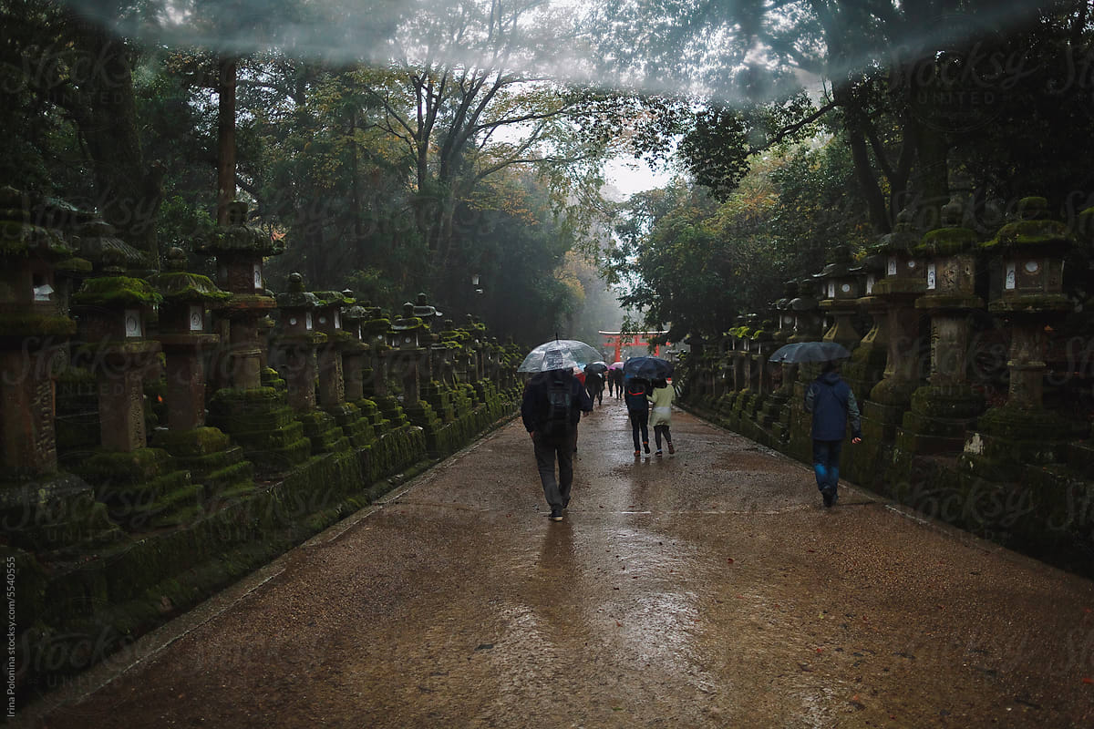 Rainy Japanese Park.
