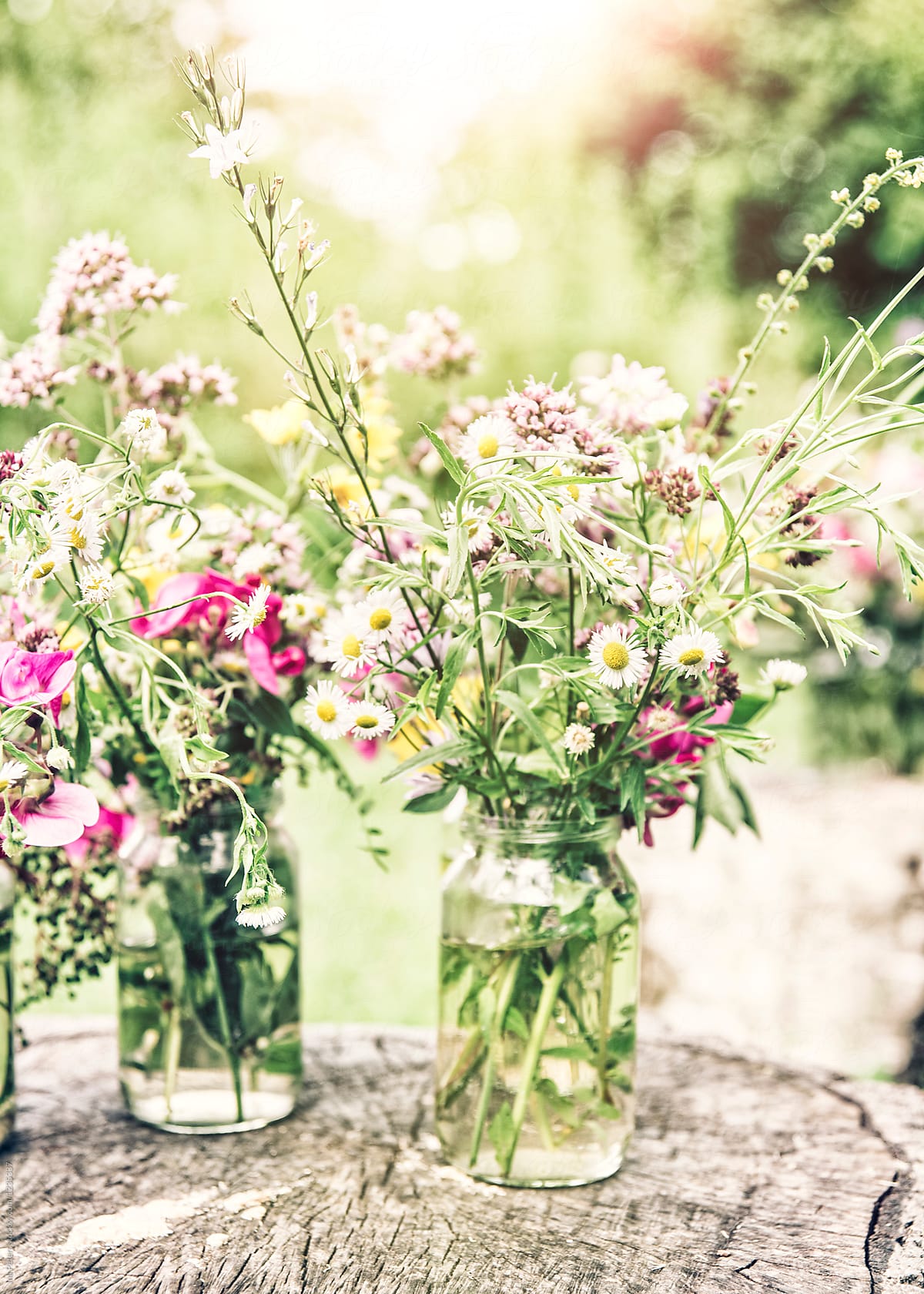 Wild flower bouquets in jars for decoration standing on a trunk in the garden