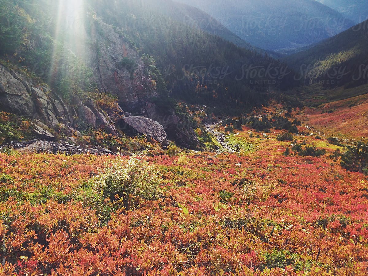 Sunlight shining onto mountain hillside in autumn, North Cascades, WA, USA