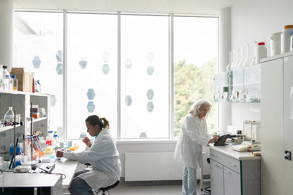 Scientists Working In Modern Bright Lab
