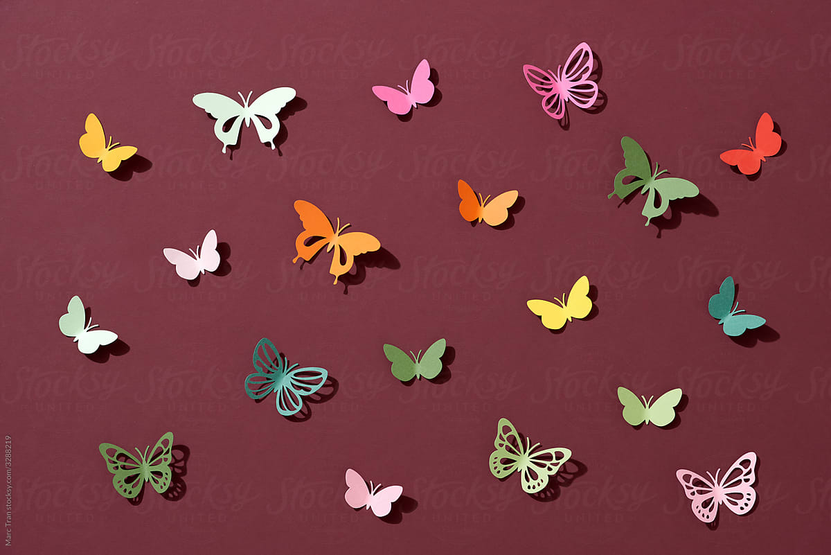 Butterfly paper cut art on dark red background