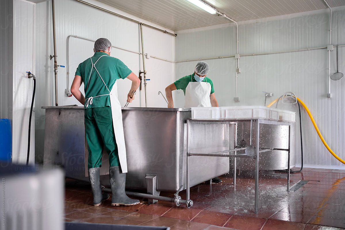 Cheese Factory Workers Next To A Tank With Milk.