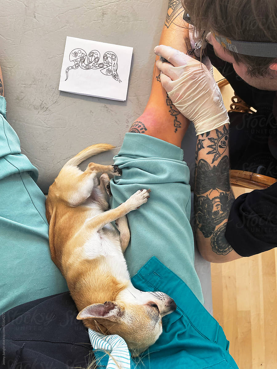 Cute puppy supervising the tattoo artist