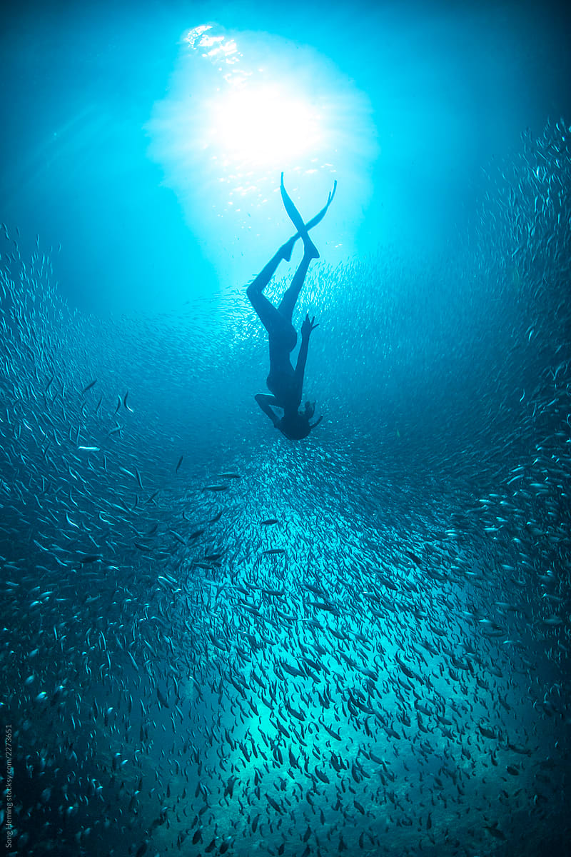 Female free diver with schooling fish underwater in the cavern with back light