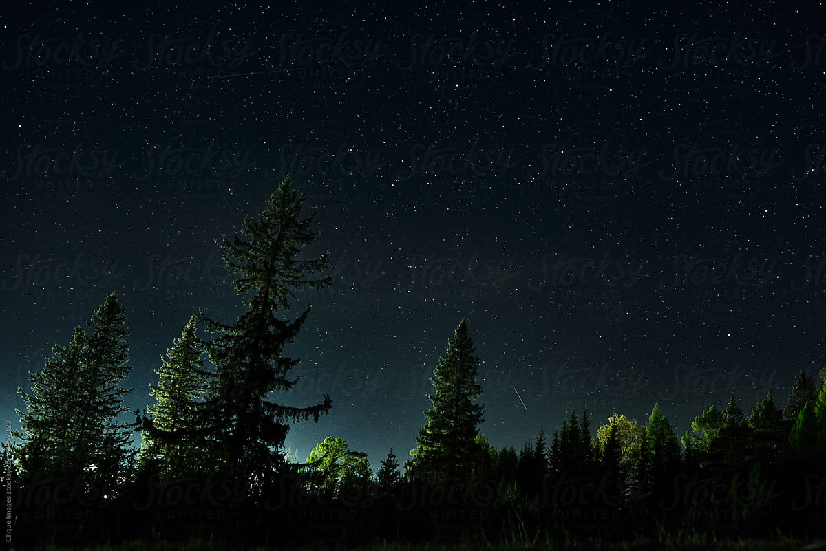 Starry Midnight Sky