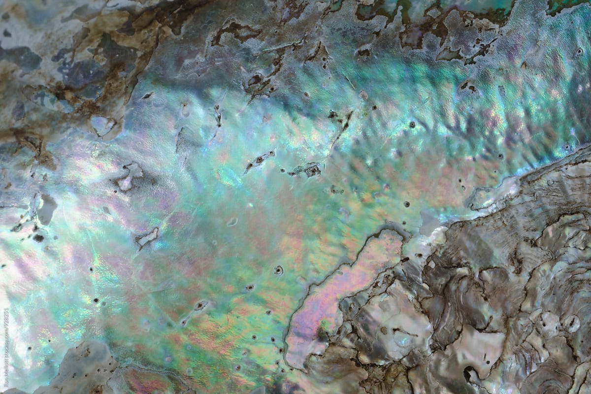Closeup macrophotograph of iridescence and patterns in abalone shell