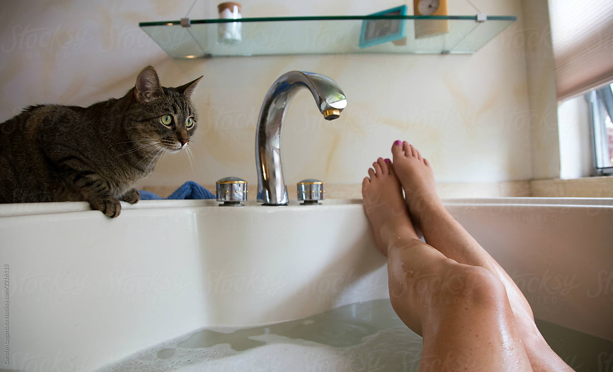 Tabby cat looking at a woman in the bathtub