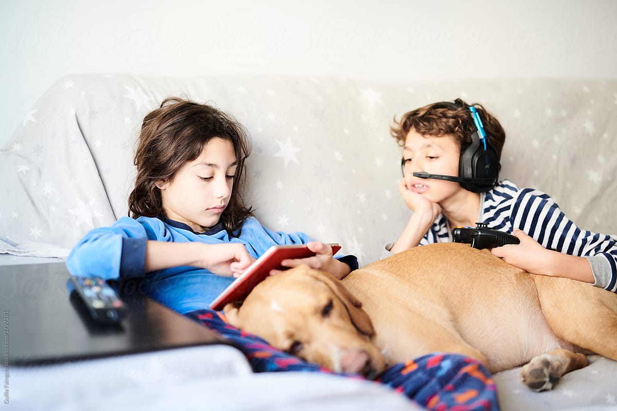 Children chilling gaming and dog on sofa