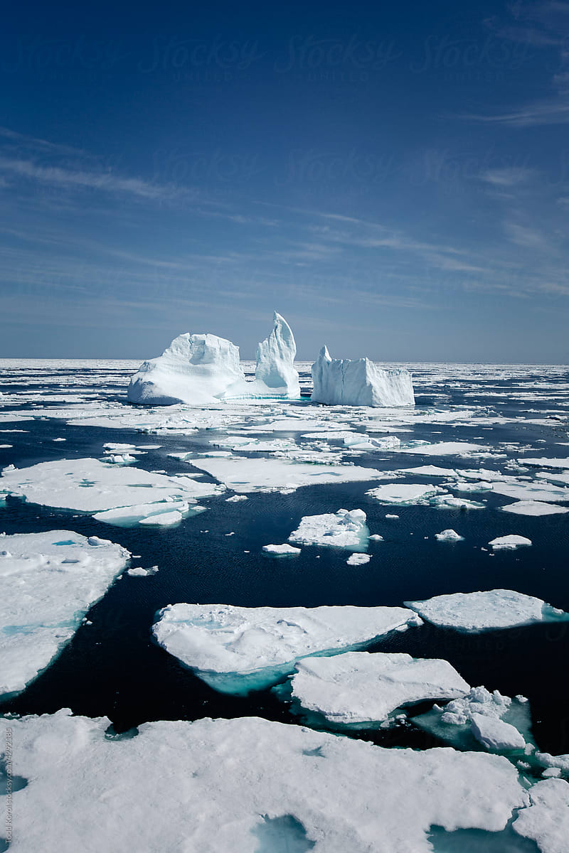 Icebergs floating in the melting sea ice in the Davis Strait.