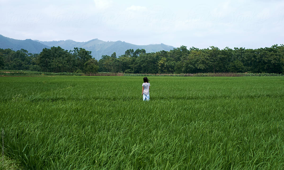 Asian little girl playing in the rice field