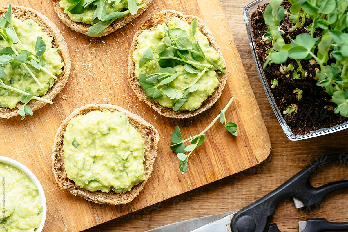 Muffins With An Avocado Fava Bean Mash And Pea Sprouts By Stocksy