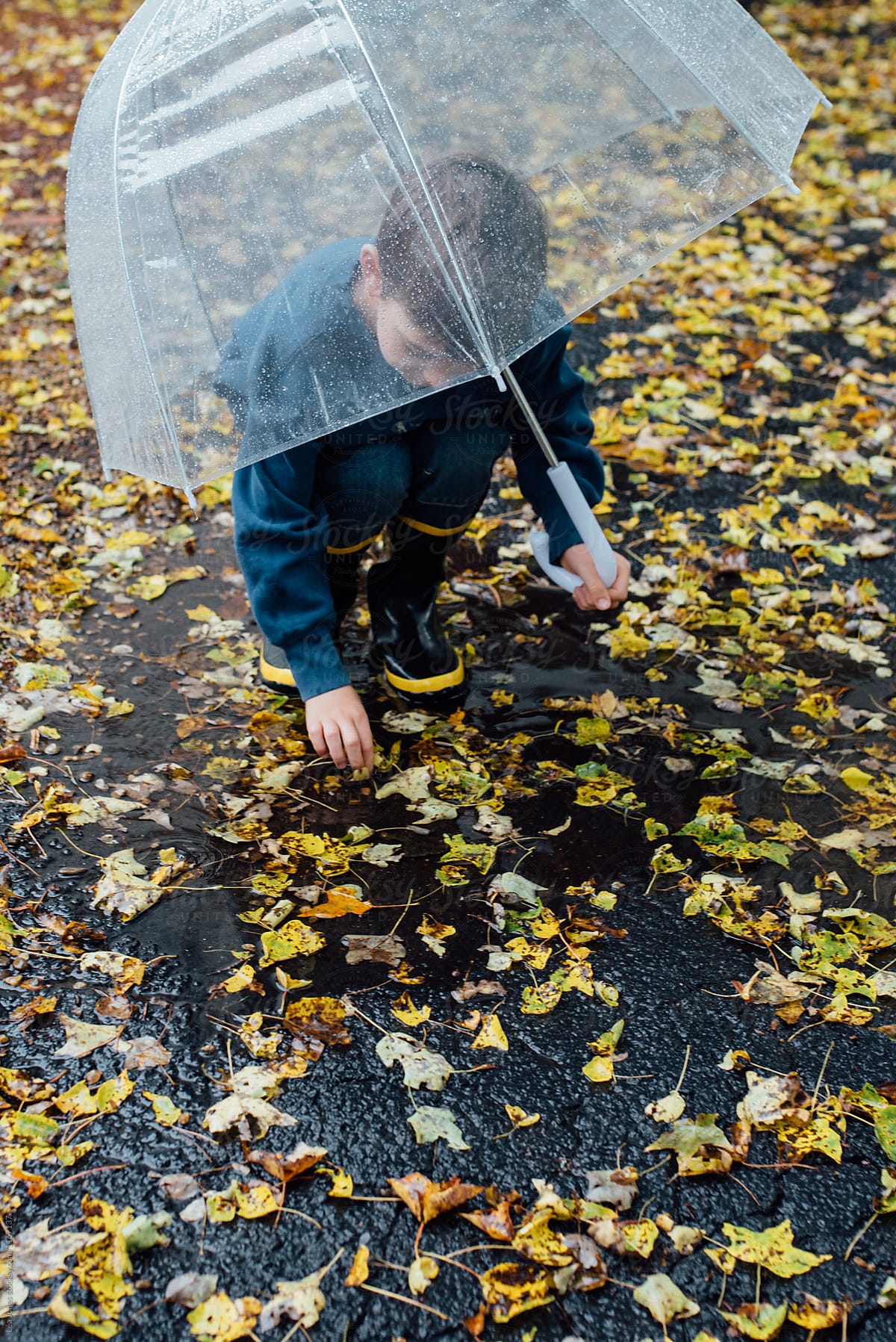 little boy with umbrella in the rain, yellow leaves on the ground