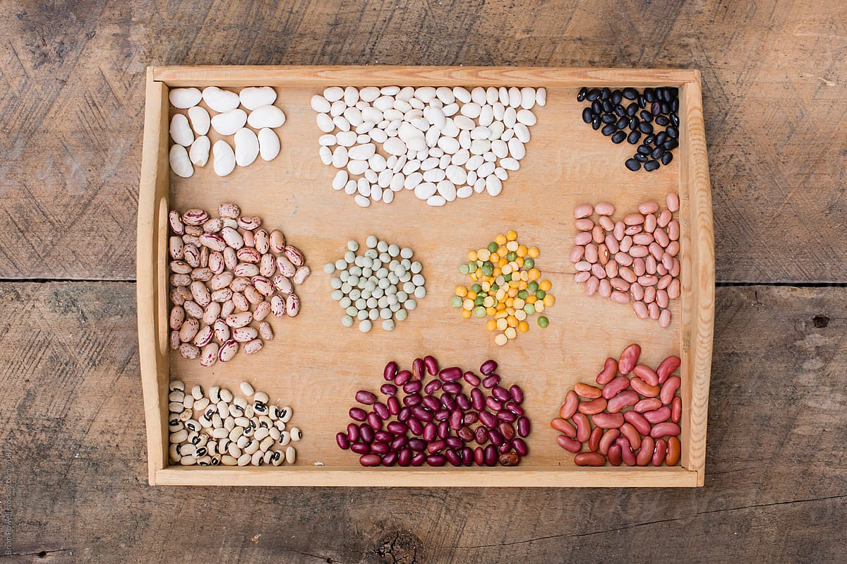 various beans sorted into groups