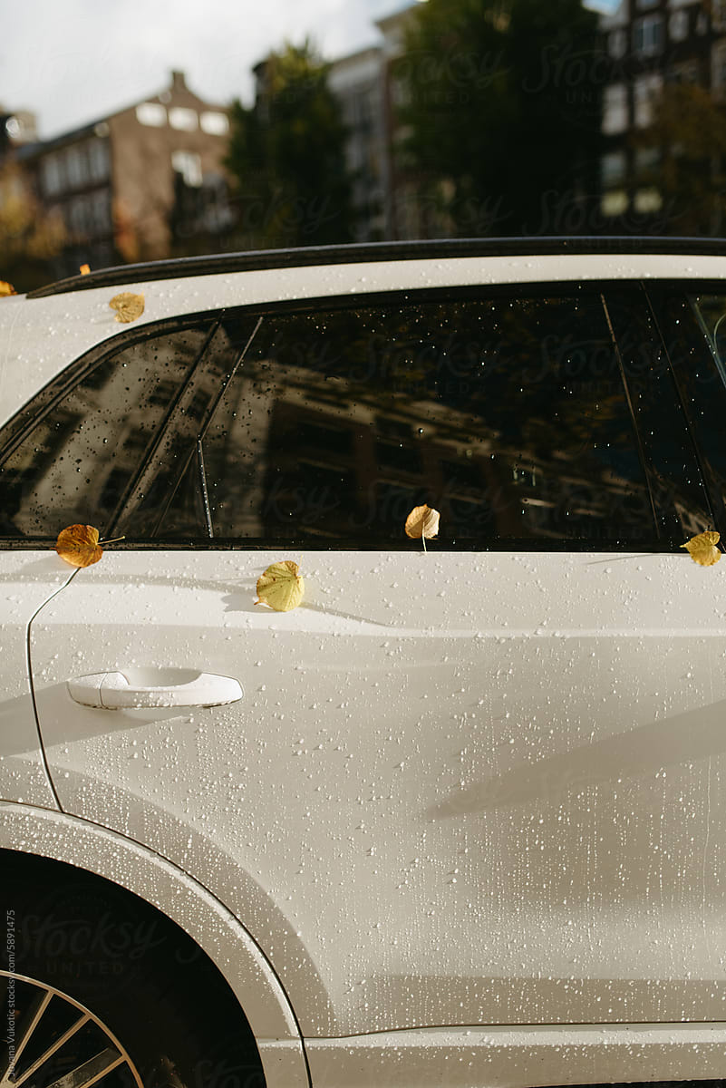 Car covered with raindrops and leafs