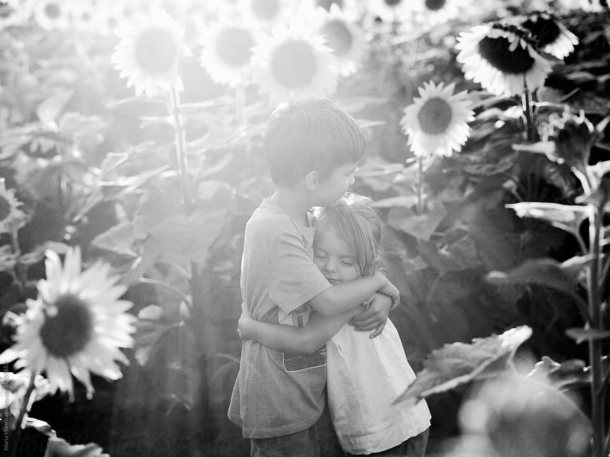 children hugging in sunflower field