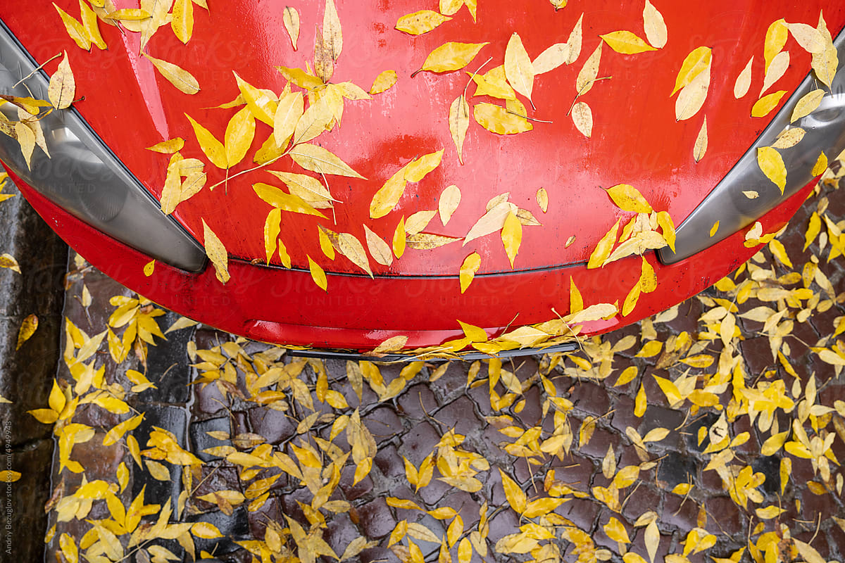 Red car covered with autumn leaves closeup