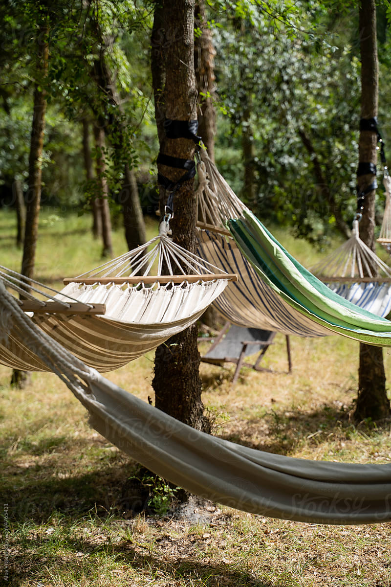 Hammocks to relax in nature