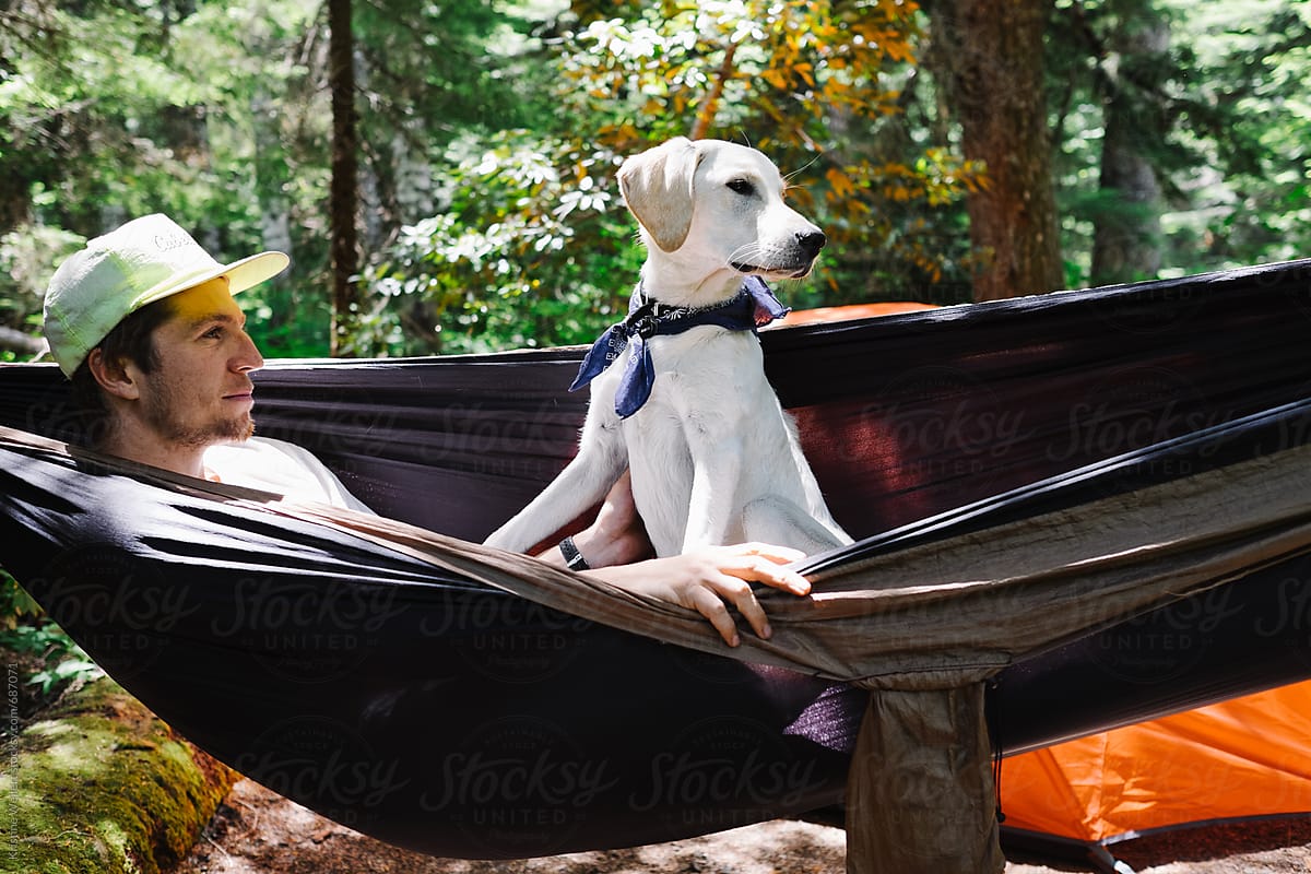 Man and his white dog rest in hammock