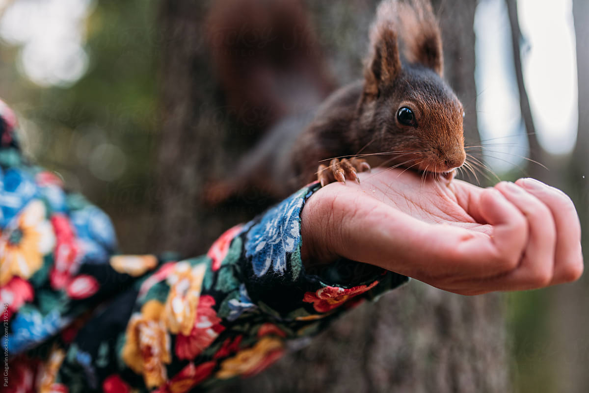 Girl feeding squirrel.