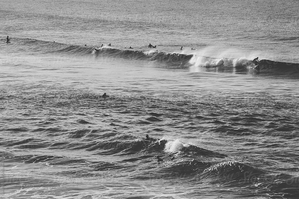 Surfers group in the water waiting for the wave