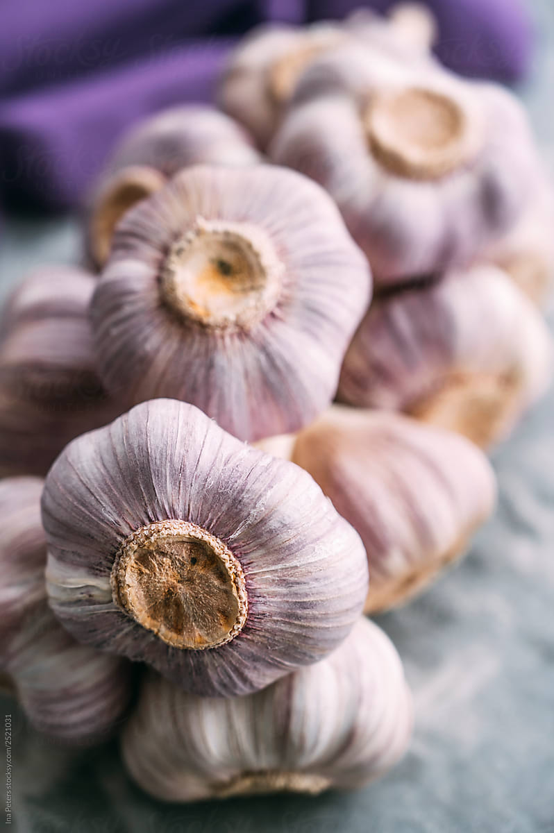 Food: French purple garlic bulbs
