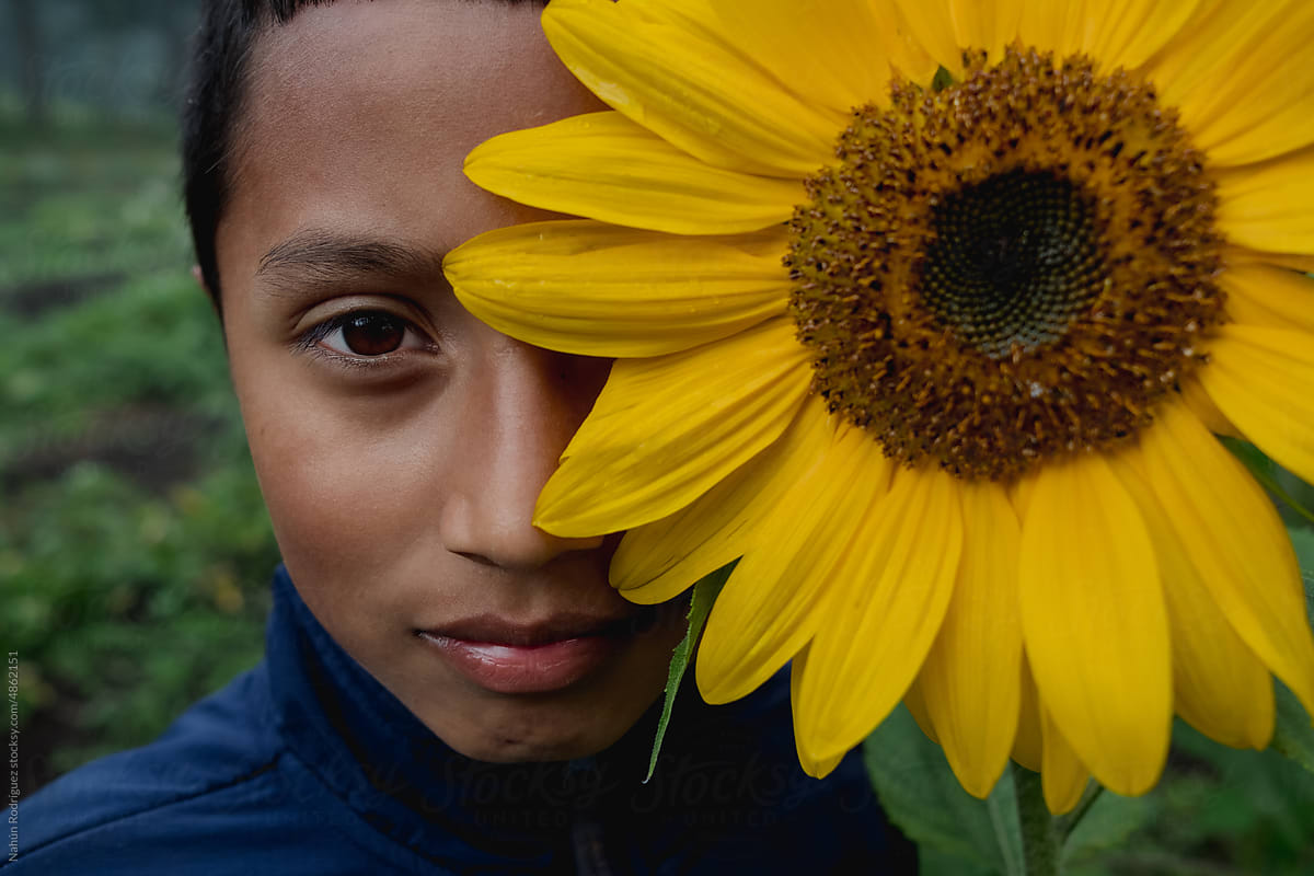 The boy and the sunflower