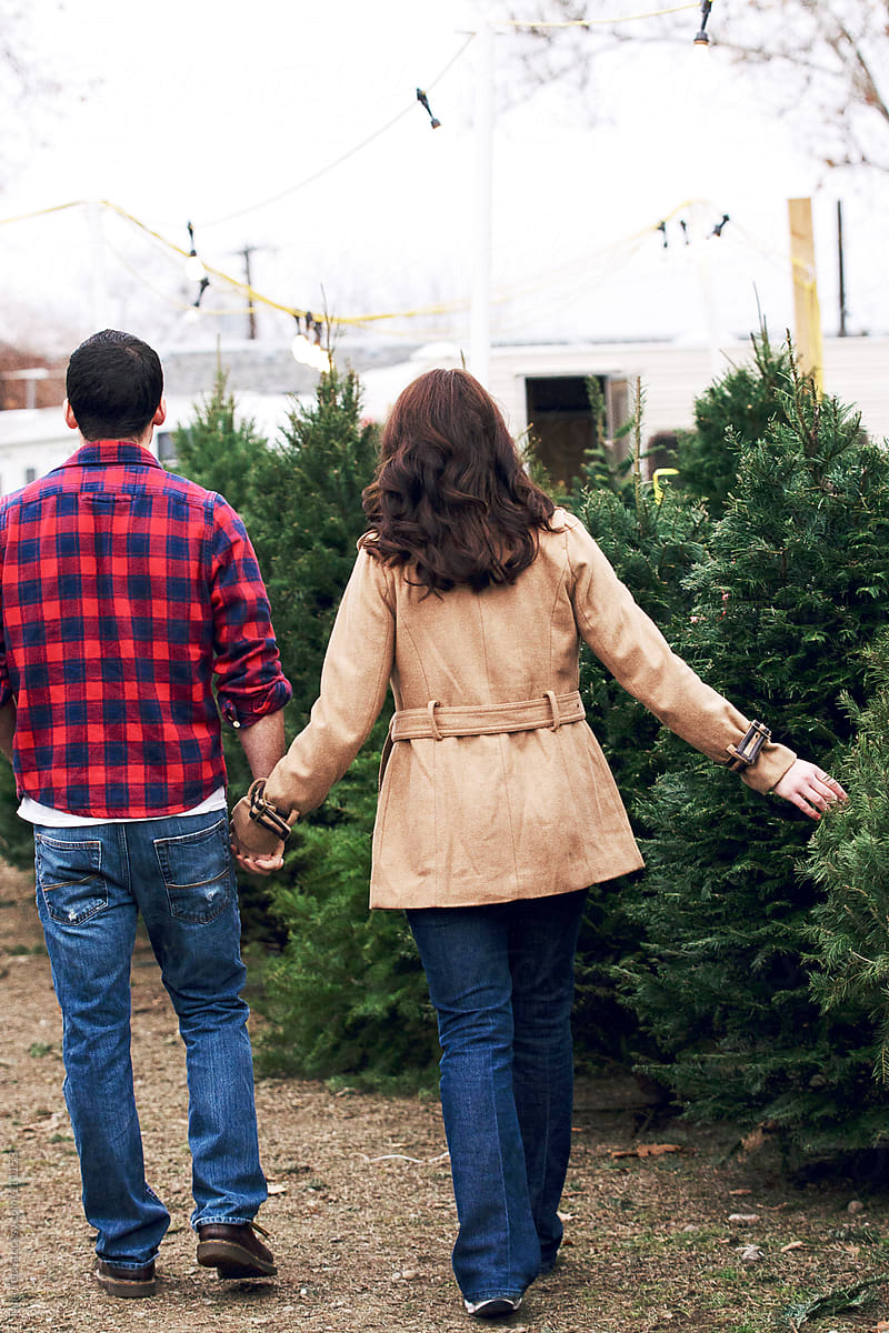 A couple search a Christmas tree lot for a Christmas tree