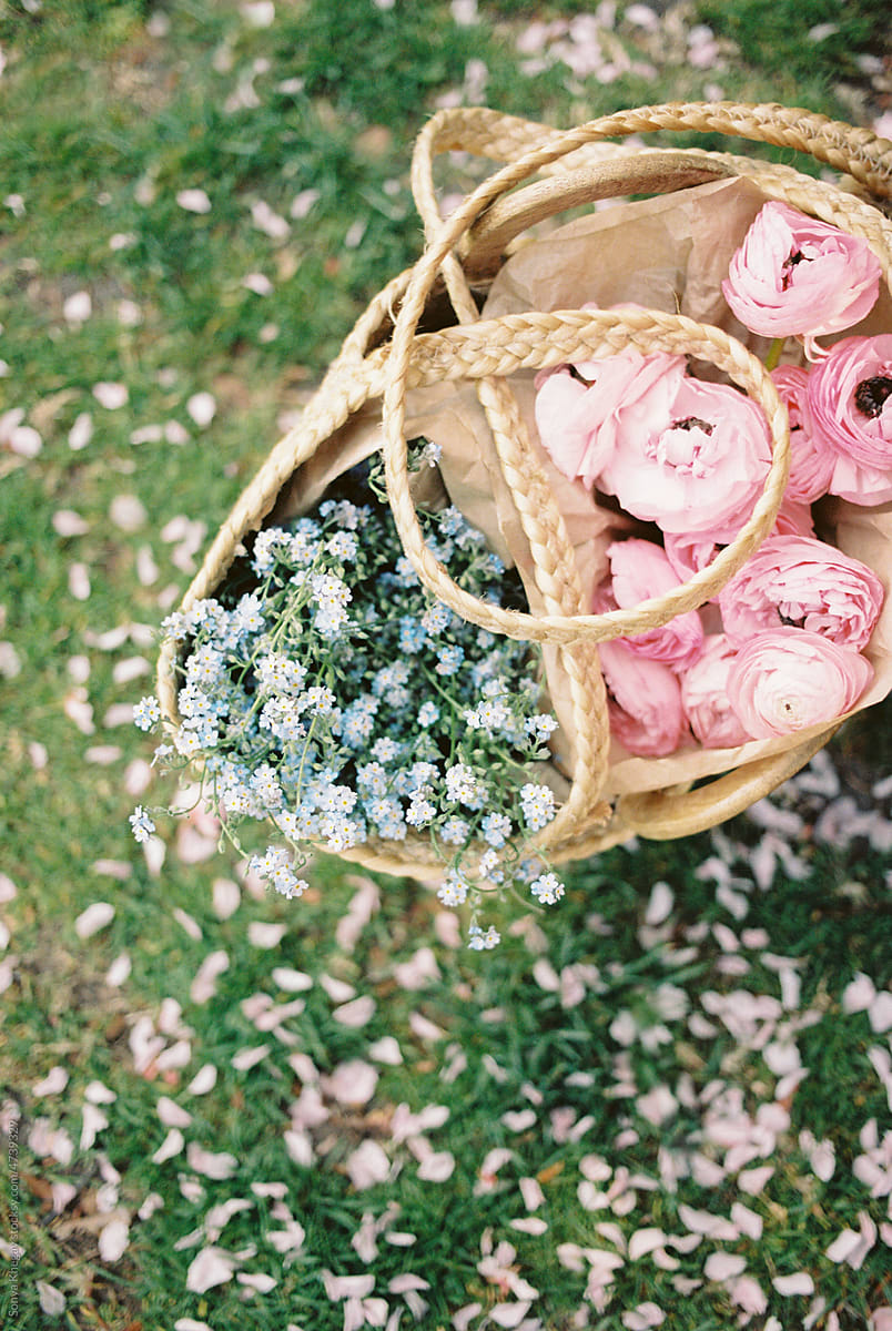 pink ranunculus and forget-me-not flowers