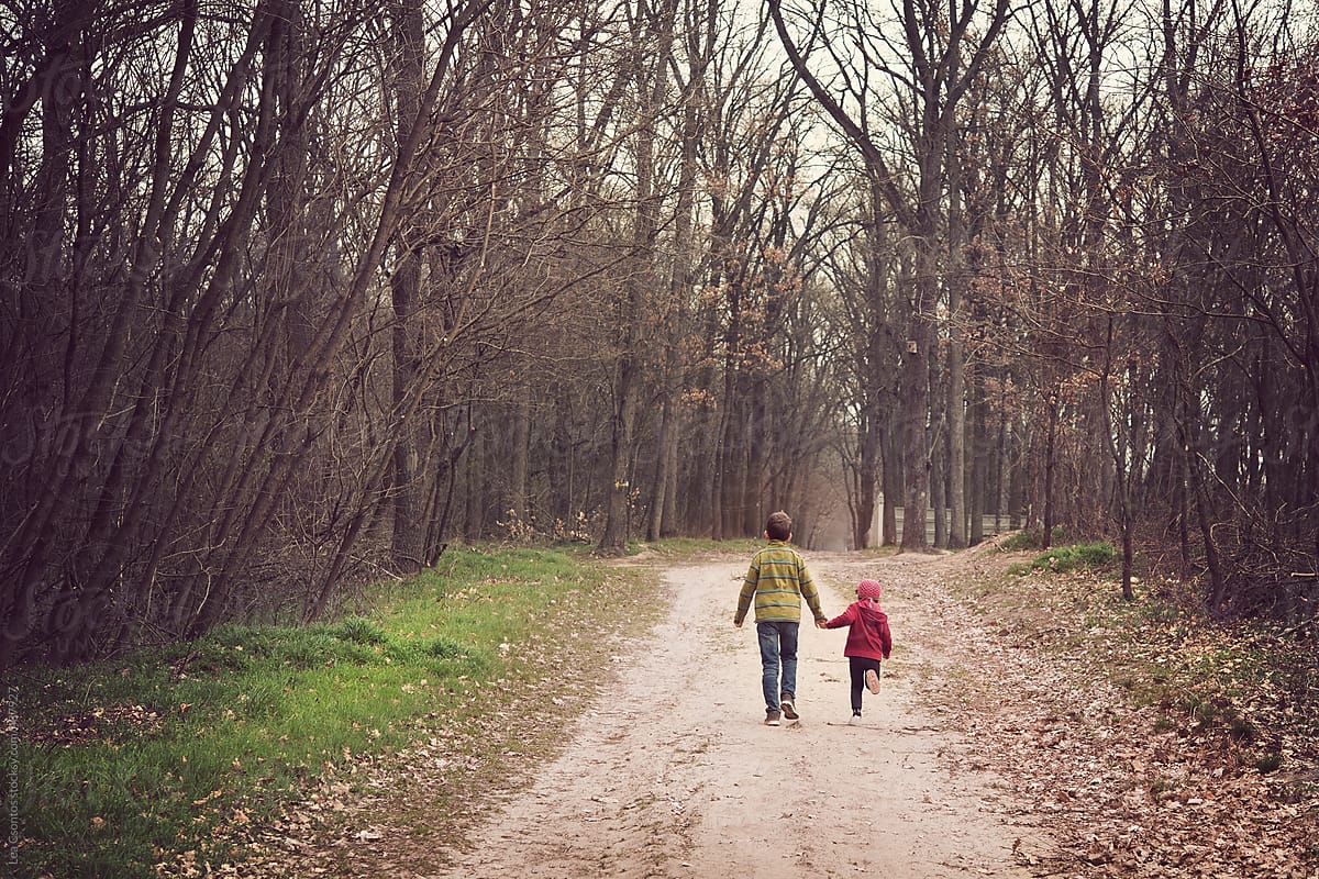 A brother and a young sister walking in a forest hand in hand photographed from behind.
