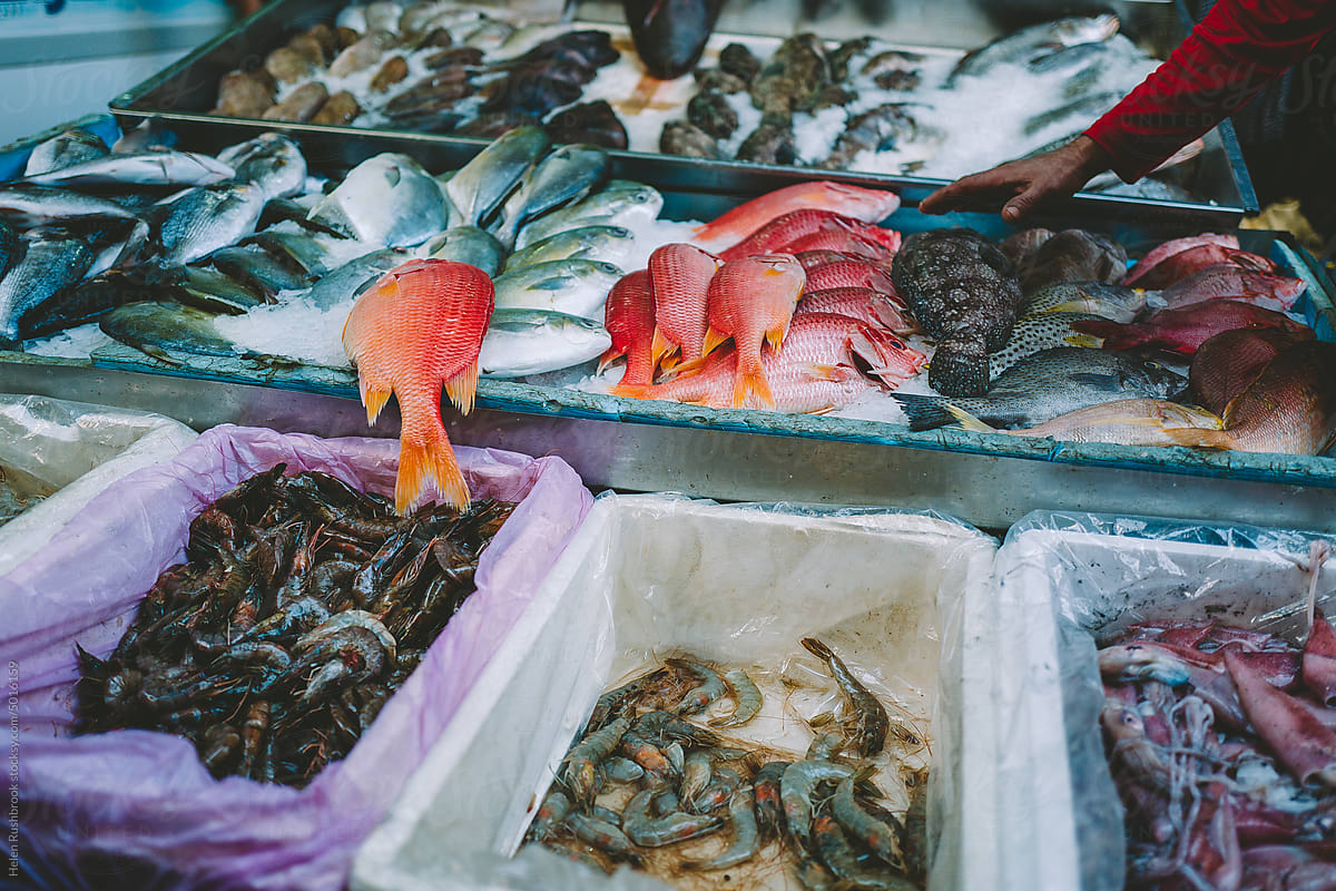 Fish on a market stall in the middle east.