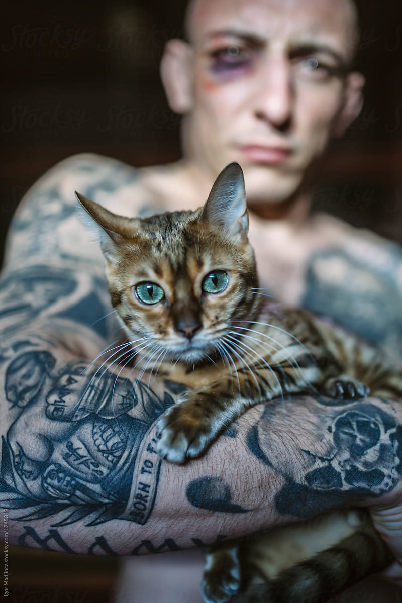 cat,pet,friend,bruise,fight,tattoo