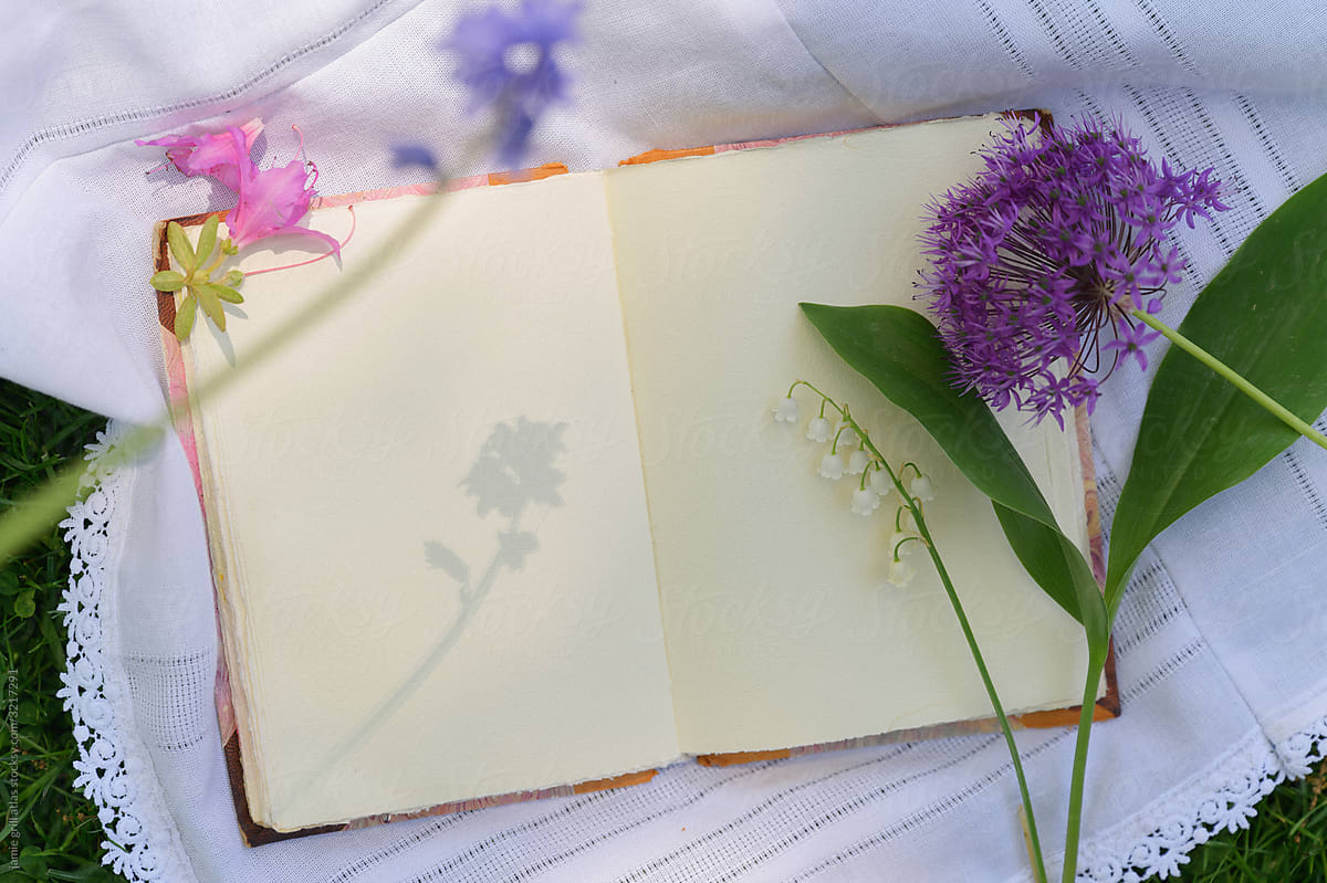 Flowers and Shadows on Pages of a Journal in the Grass