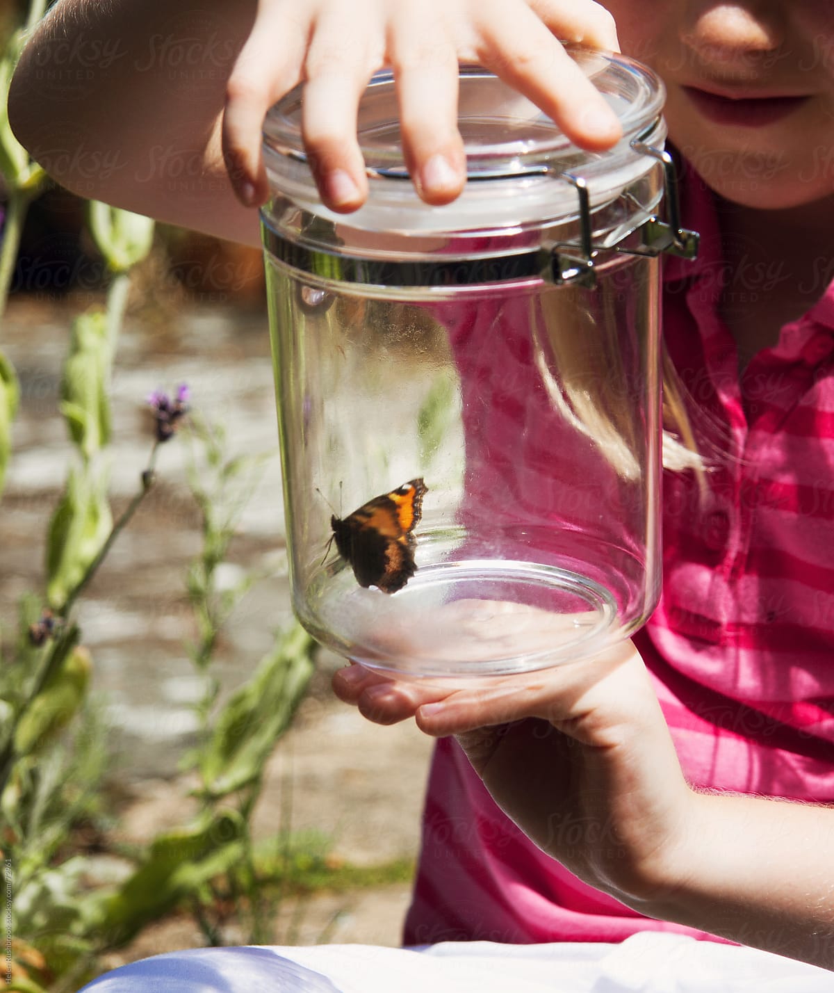 A little girl with a butterfly in a jar