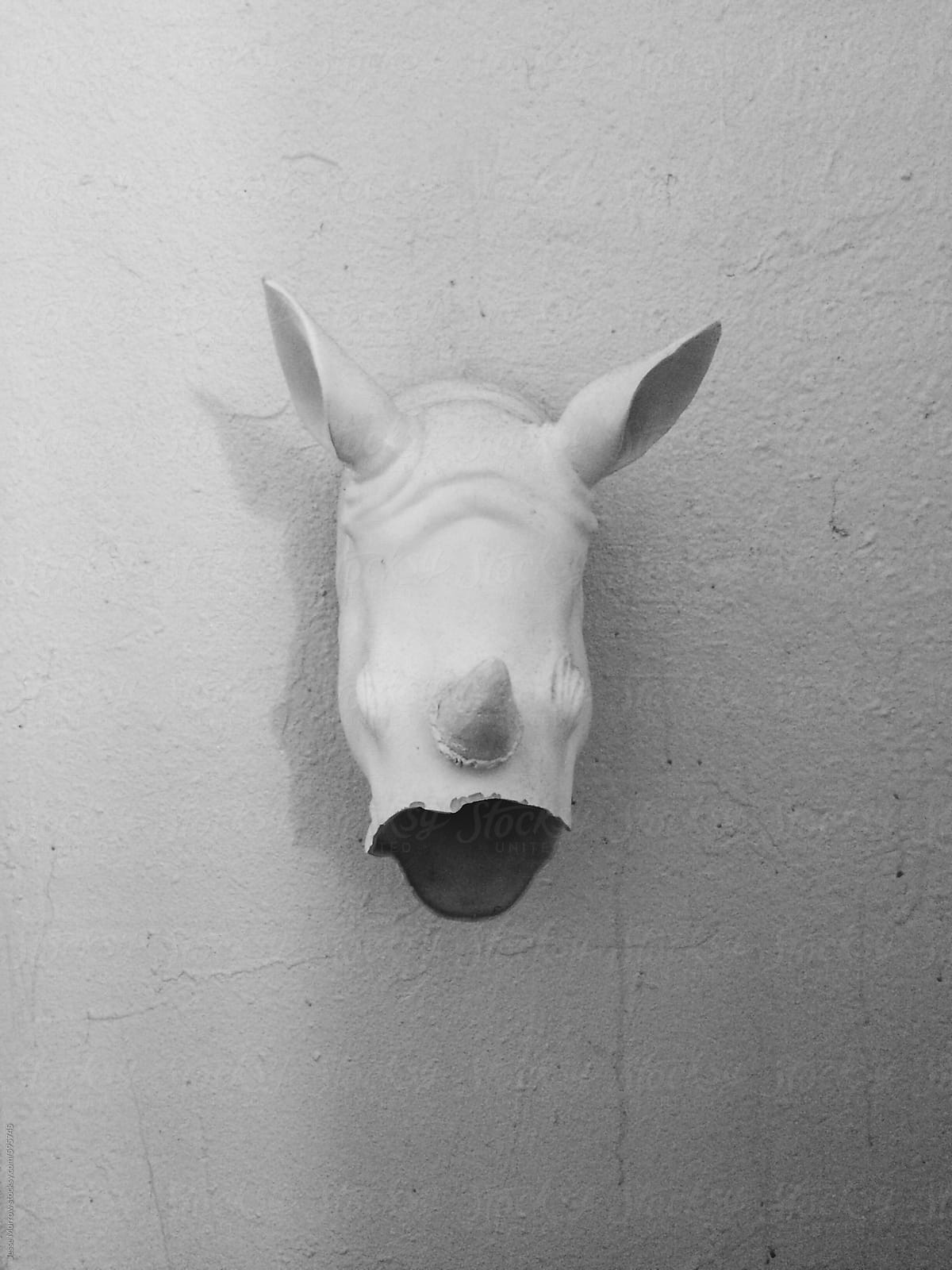 black and white image of rhino head on wall with missing horn